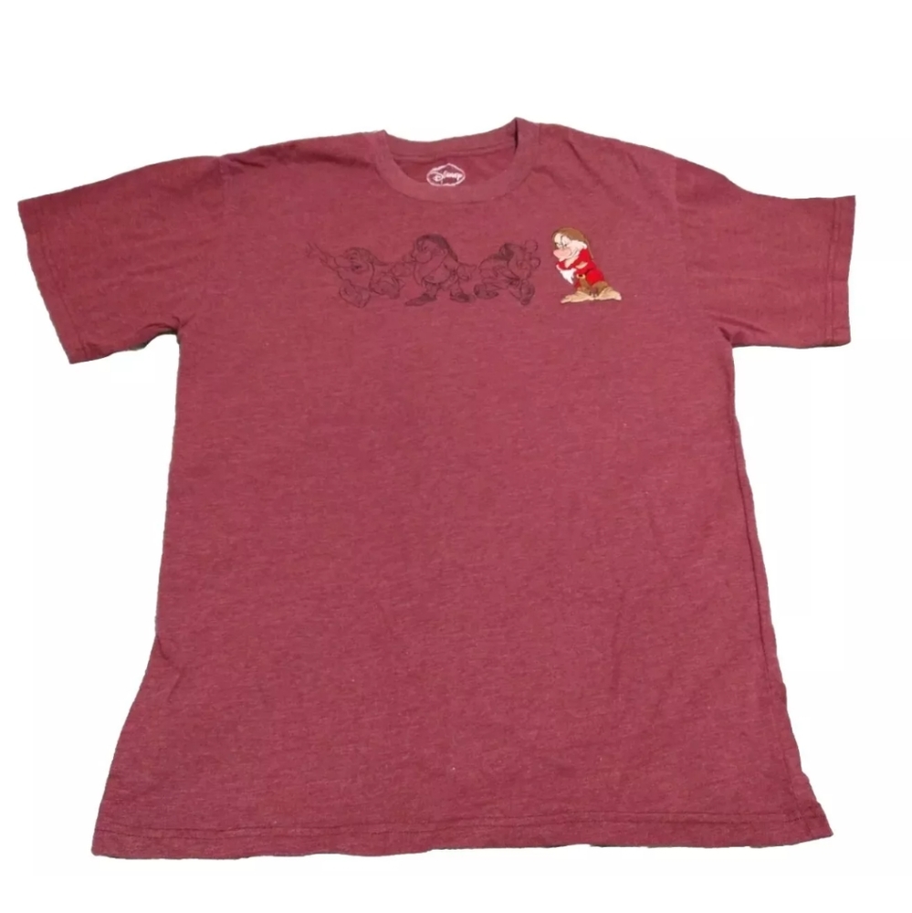Men's Disney Snow White & Seven Dwarves Grumpy Embroidered Accent T-shirt Large
